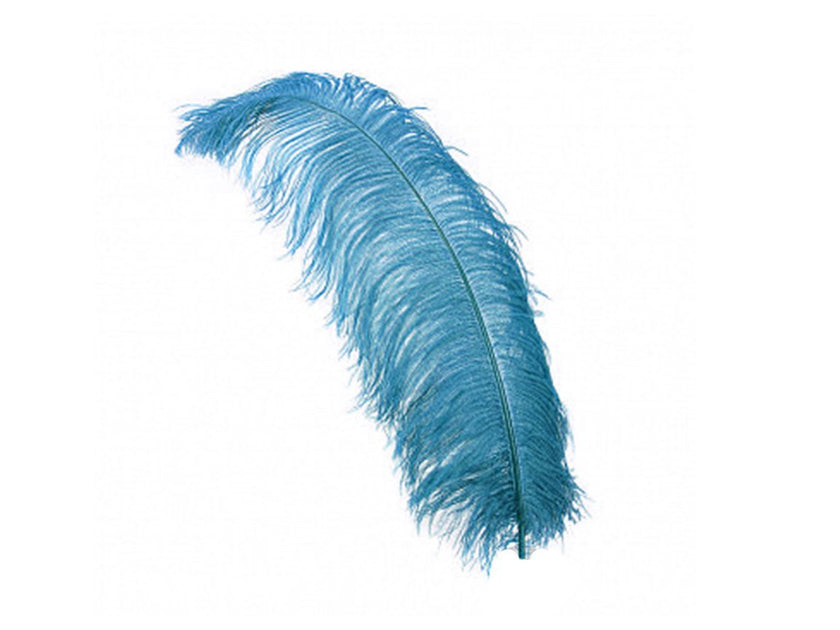 Ostrich wing clearance feathers