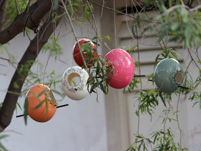 Ostrich Eggshell Bird Feeders - Ostrich Africa