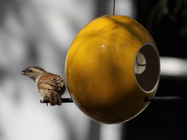 Ostrich Eggshell Bird Feeders - Ostrich Africa