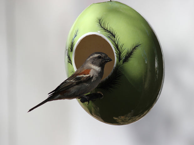 Ostrich Eggshell Bird Feeders - Ostrich Africa