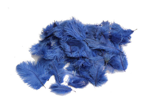 Ostrich Confetti Feathers - Ostrich Africa