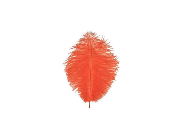 Ostrich Drab Feathers - Short - Ostrich Africa