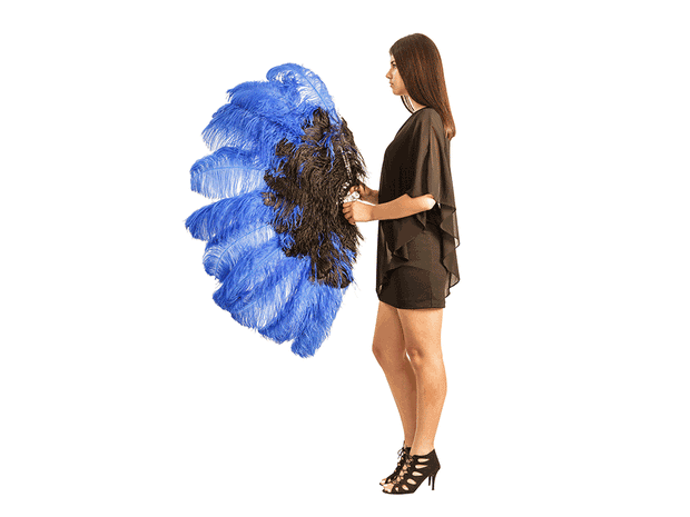 Fancy Burlesque Fan - Double Layer - Ostrich Africa