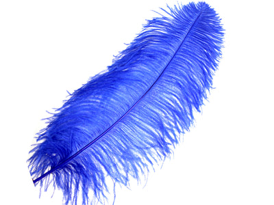 Ostrich Plumes - Long - First Quality - Ostrich Africa