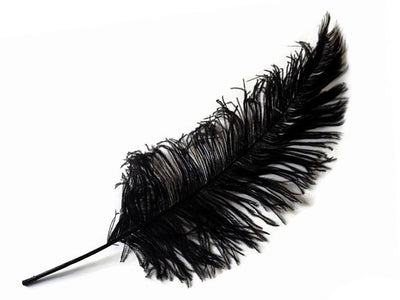 Ostrich Spadonna Feathers - Ostrich Africa