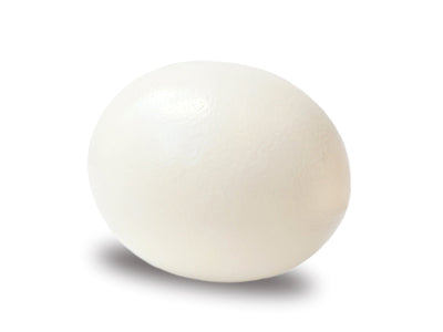 Ostrich Eggshell - Ostrich Africa